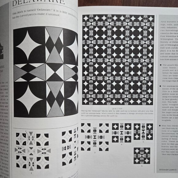 Book, American Quilt Blocks: 50 Patterns for 50 States, Very Good Condition - Picture 6 of 9